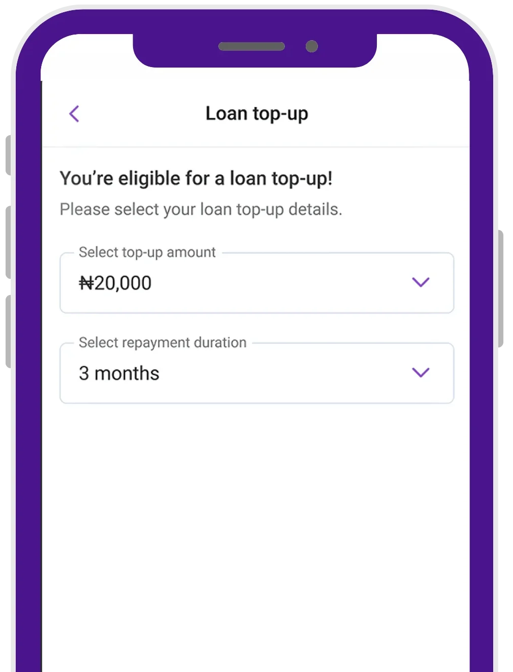 Apply for a loan extension